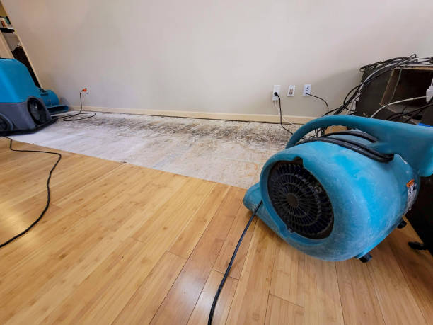 Professional Water Extraction technician working in Mesa, AZ
